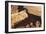 Masada from Above.-Stefano Amantini-Framed Photographic Print