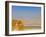 Masada Ruins, Dead Sea, Israel-Keren Su-Framed Premium Photographic Print