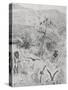 Masai Camp, C.1884-Harry Hamilton Johnston-Stretched Canvas