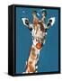 Masai Giraffe, 2018,-Mark Adlington-Framed Stretched Canvas