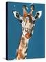 Masai Giraffe, 2018,-Mark Adlington-Stretched Canvas