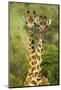 Masai Giraffe (Giraffa Camelopardalis Tippelskirchi) Masai Mara Game Reserve, Kenya-Denis-Huot-Mounted Photographic Print