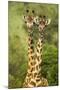 Masai Giraffe (Giraffa Camelopardalis Tippelskirchi) Masai Mara Game Reserve, Kenya-Denis-Huot-Mounted Photographic Print