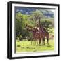 Masai Giraffe (Giraffa Camelopardalis Tippelskirchi), Samburu National Reserve, Kenya-Ivan Vdovin-Framed Photographic Print