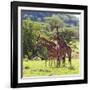 Masai Giraffe (Giraffa Camelopardalis Tippelskirchi), Samburu National Reserve, Kenya-Ivan Vdovin-Framed Photographic Print