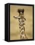 Masai Giraffe, Masai Mara Game Reserve, Kenya-Joe & Mary Ann McDonald-Framed Stretched Canvas