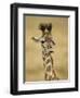 Masai Giraffe, Masai Mara Game Reserve, Kenya-Joe & Mary Ann McDonald-Framed Photographic Print