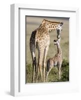 Masai Giraffe with its Calf, Masai Mara National Reserve, Kenya-null-Framed Photographic Print