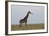 Masai Giraffe-James Hager-Framed Photographic Print