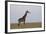 Masai Giraffe-James Hager-Framed Photographic Print