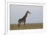 Masai Giraffe-James Hager-Framed Photographic Print