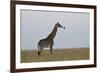 Masai Giraffe-James Hager-Framed Photographic Print