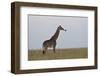 Masai Giraffe-James Hager-Framed Photographic Print