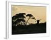 Masai Man, Amboseli Wildlife Reserve, Kenya-Vadim Ghirda-Framed Photographic Print