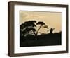 Masai Man, Amboseli Wildlife Reserve, Kenya-Vadim Ghirda-Framed Photographic Print