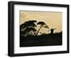 Masai Man, Amboseli Wildlife Reserve, Kenya-Vadim Ghirda-Framed Photographic Print