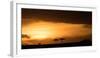 Masai Mara at sunset, Kenya, East Africa, Africa-Karen Deakin-Framed Photographic Print