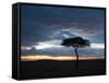 Masai Mara, Kenya, East Africa, Africa-Sergio Pitamitz-Framed Stretched Canvas