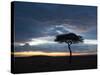 Masai Mara, Kenya, East Africa, Africa-Sergio Pitamitz-Stretched Canvas