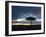 Masai Mara, Kenya, East Africa, Africa-Sergio Pitamitz-Framed Photographic Print