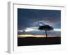 Masai Mara, Kenya, East Africa, Africa-Sergio Pitamitz-Framed Photographic Print