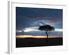 Masai Mara, Kenya, East Africa, Africa-Sergio Pitamitz-Framed Photographic Print