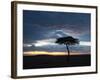 Masai Mara, Kenya, East Africa, Africa-Sergio Pitamitz-Framed Photographic Print