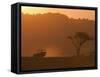 Masai Mara, Kenya, East Africa, Africa-Sergio Pitamitz-Framed Stretched Canvas