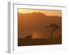 Masai Mara, Kenya, East Africa, Africa-Sergio Pitamitz-Framed Photographic Print