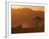 Masai Mara, Kenya, East Africa, Africa-Sergio Pitamitz-Framed Photographic Print