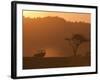 Masai Mara, Kenya, East Africa, Africa-Sergio Pitamitz-Framed Photographic Print