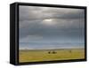 Masai Mara, Kenya, East Africa, Africa-Sergio Pitamitz-Framed Stretched Canvas