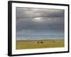 Masai Mara, Kenya, East Africa, Africa-Sergio Pitamitz-Framed Photographic Print