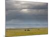 Masai Mara, Kenya, East Africa, Africa-Sergio Pitamitz-Mounted Photographic Print