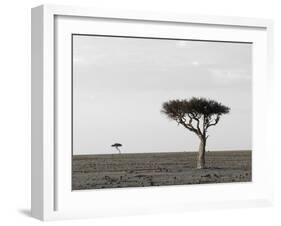 Masai Mara, Kenya, East Africa, Africa-Sergio Pitamitz-Framed Photographic Print