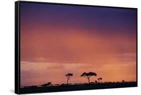 Masai Mara National Reserve at Dusk-Paul Souders-Framed Stretched Canvas