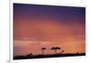 Masai Mara National Reserve at Dusk-Paul Souders-Framed Photographic Print