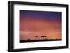 Masai Mara National Reserve at Dusk-Paul Souders-Framed Photographic Print