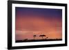 Masai Mara National Reserve at Dusk-Paul Souders-Framed Photographic Print