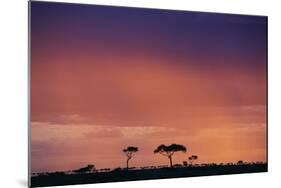 Masai Mara National Reserve at Dusk-Paul Souders-Mounted Photographic Print