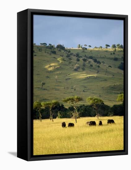 Masai Mara National Reserve, Kenya, East Africa, Africa-Harding Robert-Framed Stretched Canvas