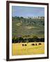 Masai Mara National Reserve, Kenya, East Africa, Africa-Harding Robert-Framed Premium Photographic Print