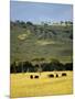 Masai Mara National Reserve, Kenya, East Africa, Africa-Harding Robert-Mounted Premium Photographic Print