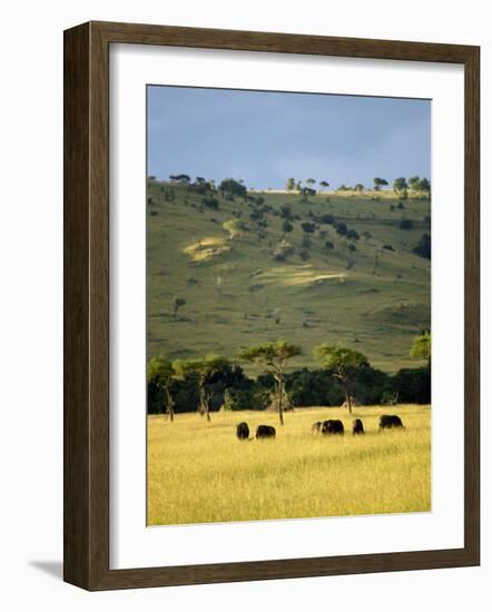 Masai Mara National Reserve, Kenya, East Africa, Africa-Harding Robert-Framed Photographic Print