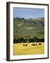 Masai Mara National Reserve, Kenya, East Africa, Africa-Harding Robert-Framed Photographic Print