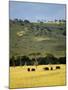 Masai Mara National Reserve, Kenya, East Africa, Africa-Harding Robert-Mounted Photographic Print