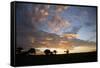 Masai Mara National Reserve, Kenya, East Africa, Africa-Angelo Cavalli-Framed Stretched Canvas