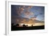 Masai Mara National Reserve, Kenya, East Africa, Africa-Angelo Cavalli-Framed Photographic Print