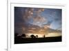 Masai Mara National Reserve, Kenya, East Africa, Africa-Angelo Cavalli-Framed Photographic Print