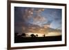 Masai Mara National Reserve, Kenya, East Africa, Africa-Angelo Cavalli-Framed Photographic Print